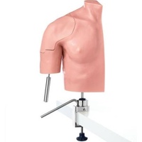 CLA Arthroscopy Model Of Shoulder Joint - Life-Size