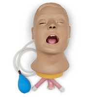 Airway Larry Adult Airway Management Trainer Head